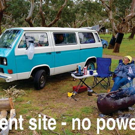 Bimbi Park - Camping Under Koalas Cape Otway Ngoại thất bức ảnh