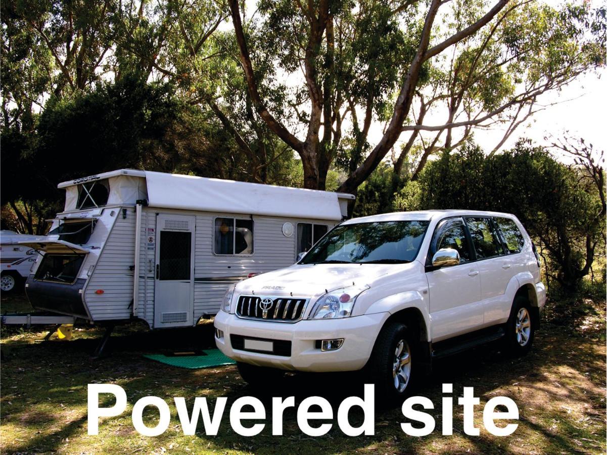 Bimbi Park - Camping Under Koalas Cape Otway Ngoại thất bức ảnh