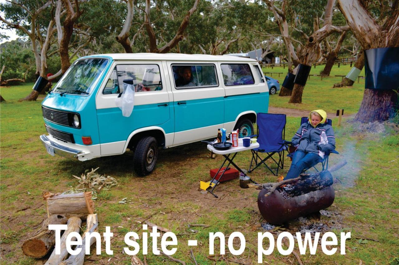 Bimbi Park - Camping Under Koalas Cape Otway Ngoại thất bức ảnh