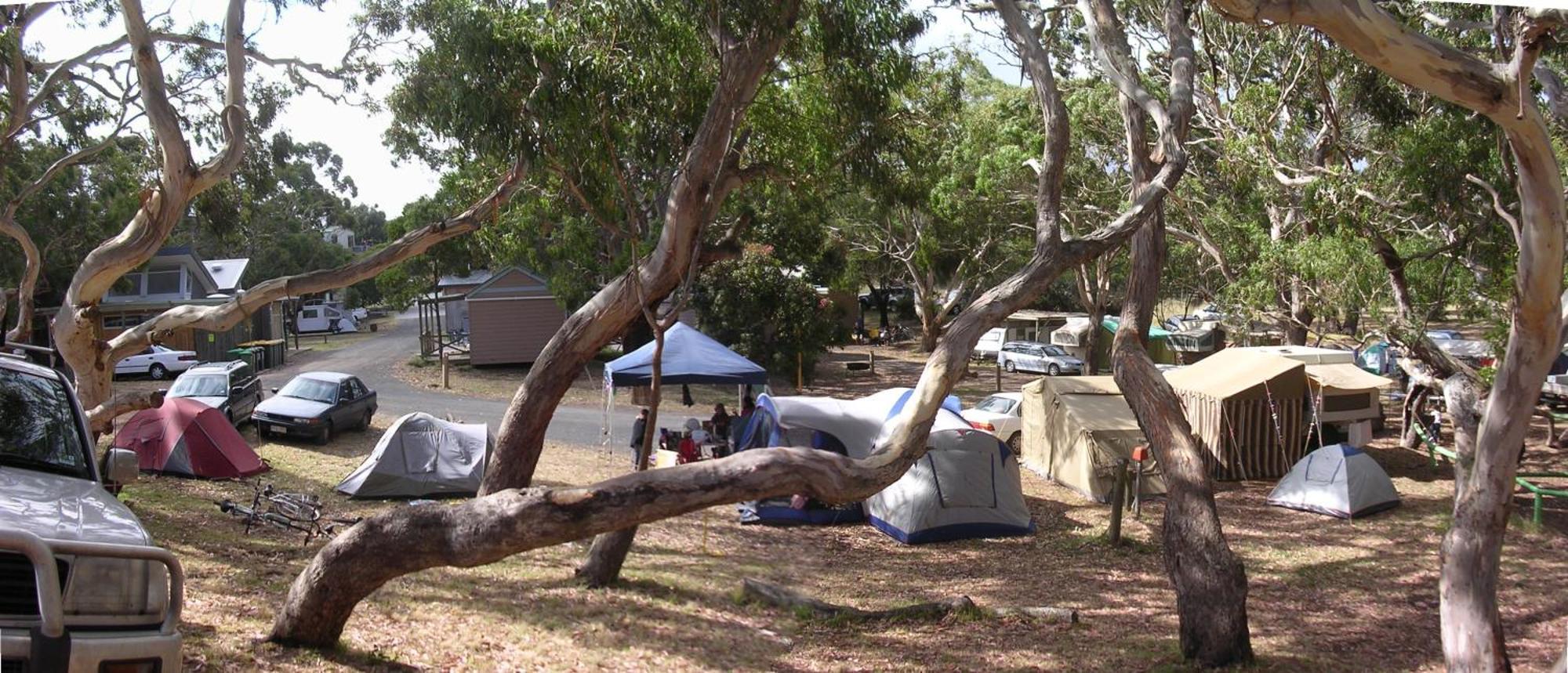 Bimbi Park - Camping Under Koalas Cape Otway Ngoại thất bức ảnh