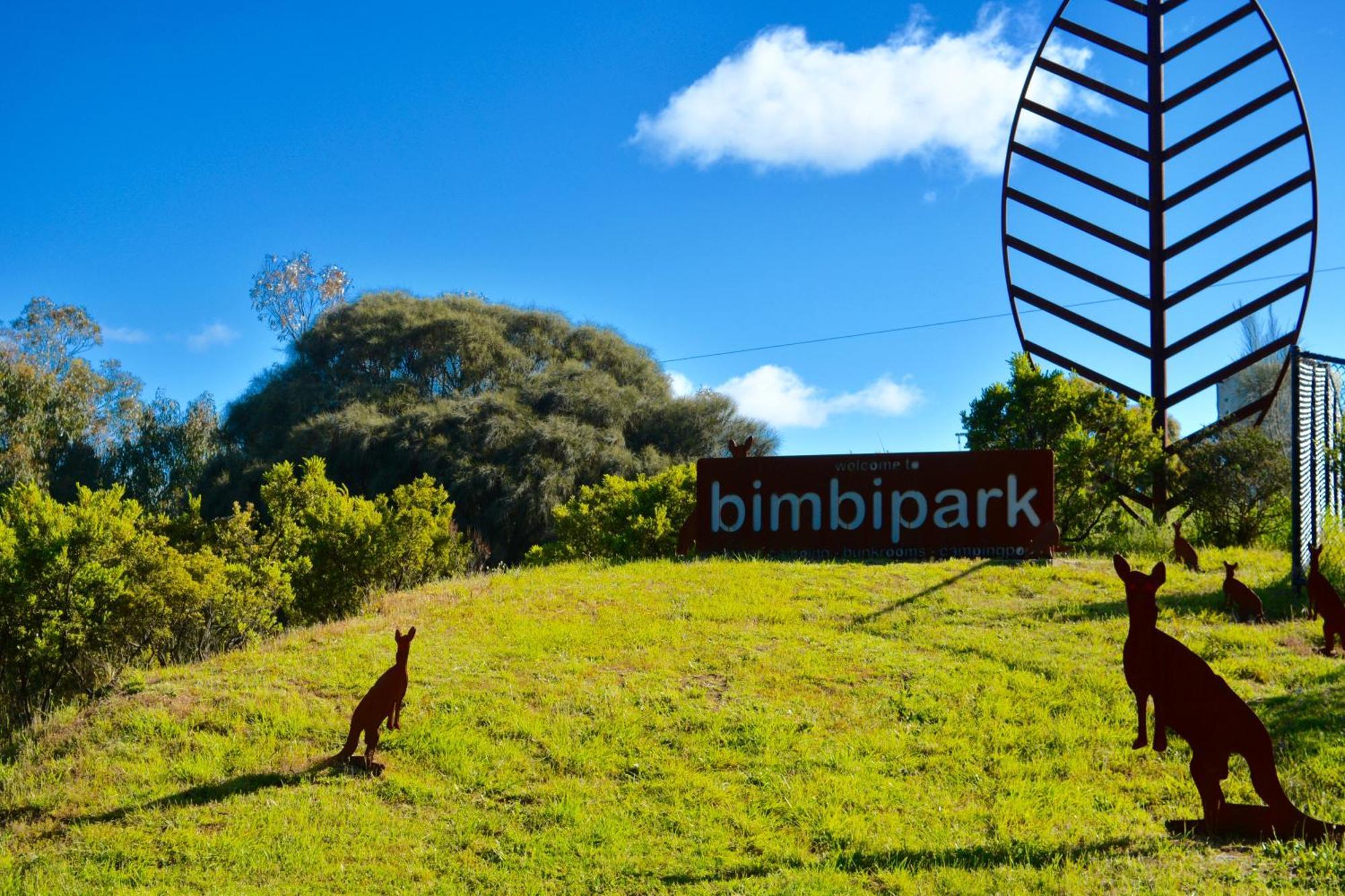 Bimbi Park - Camping Under Koalas Cape Otway Ngoại thất bức ảnh