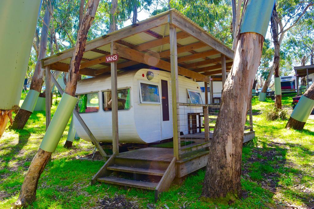 Bimbi Park - Camping Under Koalas Cape Otway Ngoại thất bức ảnh