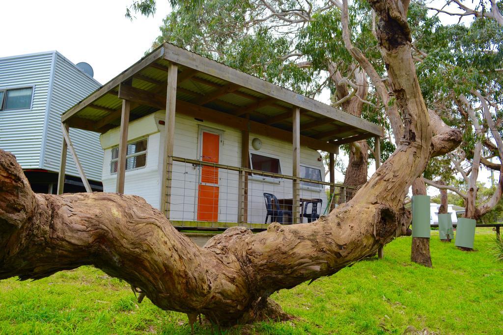 Bimbi Park - Camping Under Koalas Cape Otway Ngoại thất bức ảnh