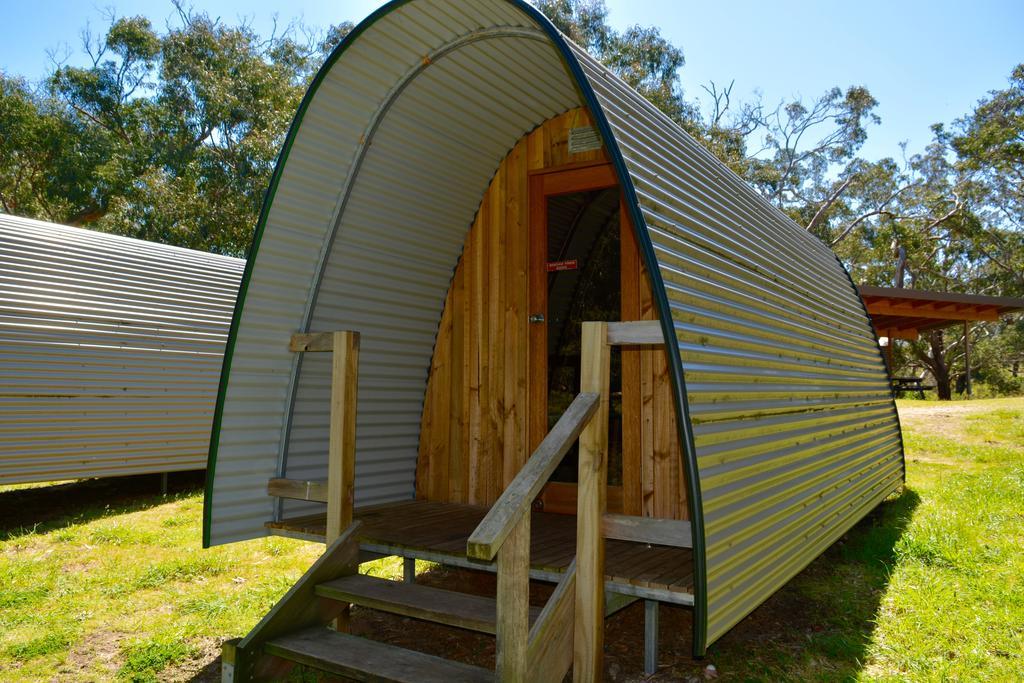Bimbi Park - Camping Under Koalas Cape Otway Ngoại thất bức ảnh