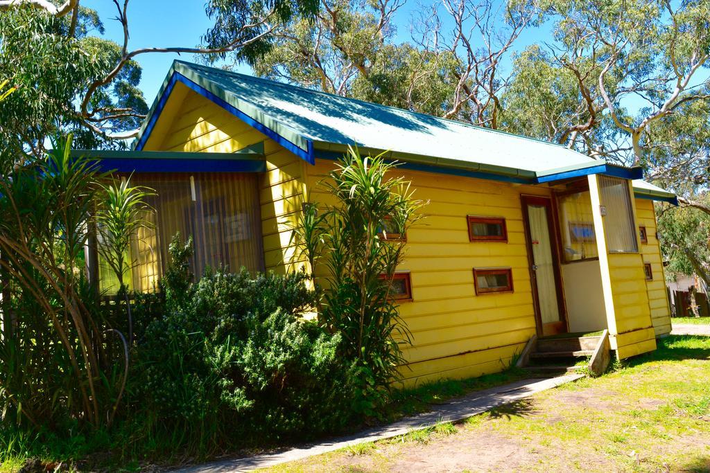 Bimbi Park - Camping Under Koalas Cape Otway Ngoại thất bức ảnh
