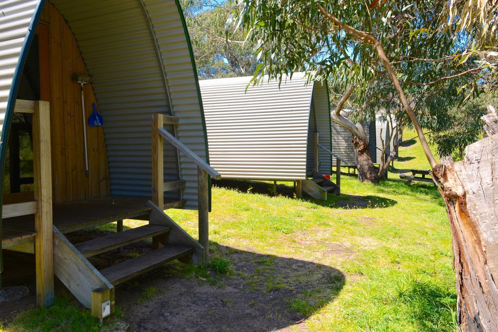 Bimbi Park - Camping Under Koalas Cape Otway Ngoại thất bức ảnh