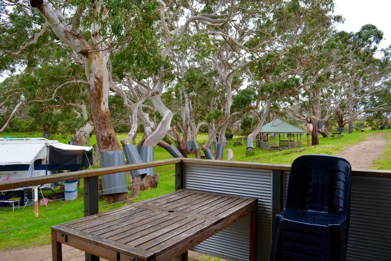 Bimbi Park - Camping Under Koalas Cape Otway Ngoại thất bức ảnh